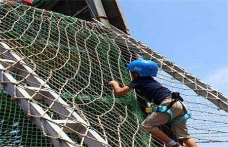 如何培養良好的意志品質