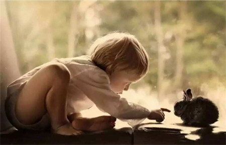 孩子自卑的成因