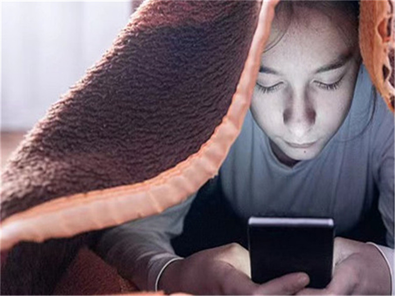 青少年封閉式教育學校,封閉式軍事化學校