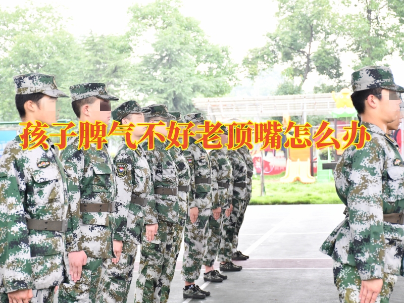 孩子叛逆期教育學(xué)校,封閉式軍事化學(xué)校 孩子叛逆期教育學(xué)校,封閉式軍事化學(xué)校