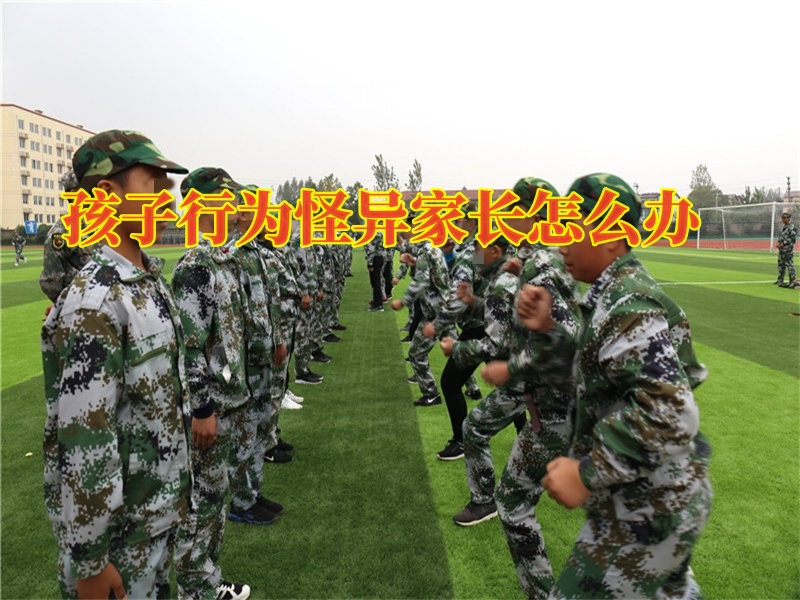 解決孩子心理問題,青少年封閉式教育學校 解決孩子心理問題,青少年封閉式教育學校