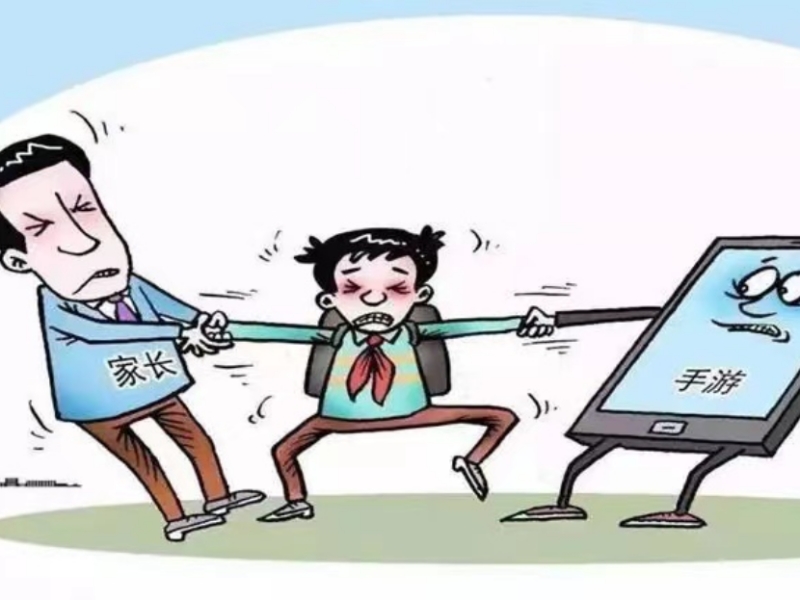 戒網癮學校,戒除網癮學校