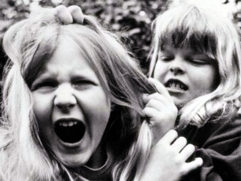 打架,夏令營 打架,夏令營