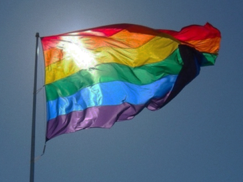 孩子同性戀,青少年特訓(xùn)學(xué)校