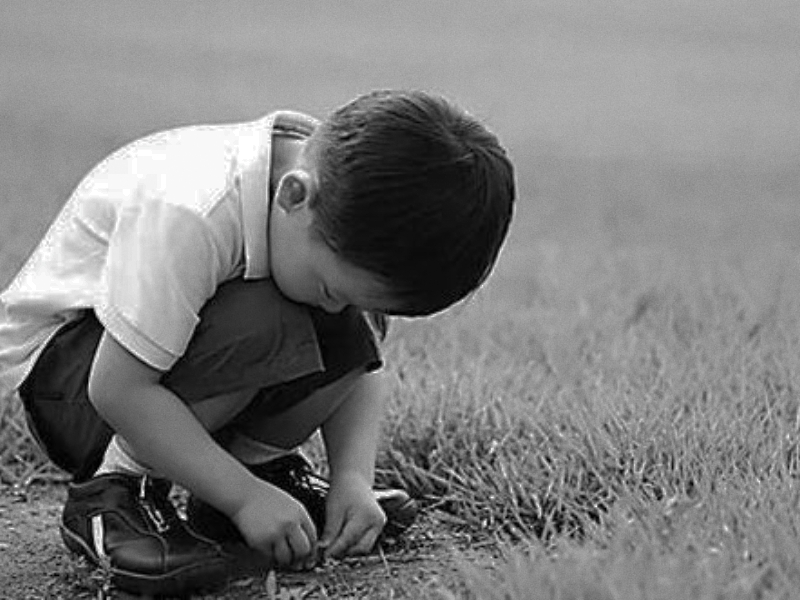 心理輔導(dǎo)學(xué)校,兒童心理輔導(dǎo)學(xué)校 心理輔導(dǎo)學(xué)校,兒童心理輔導(dǎo)學(xué)校