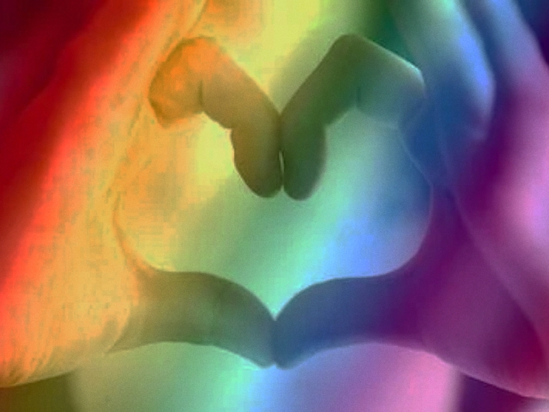 孩子同性戀,青少年特訓學校 孩子同性戀,青少年特訓學校