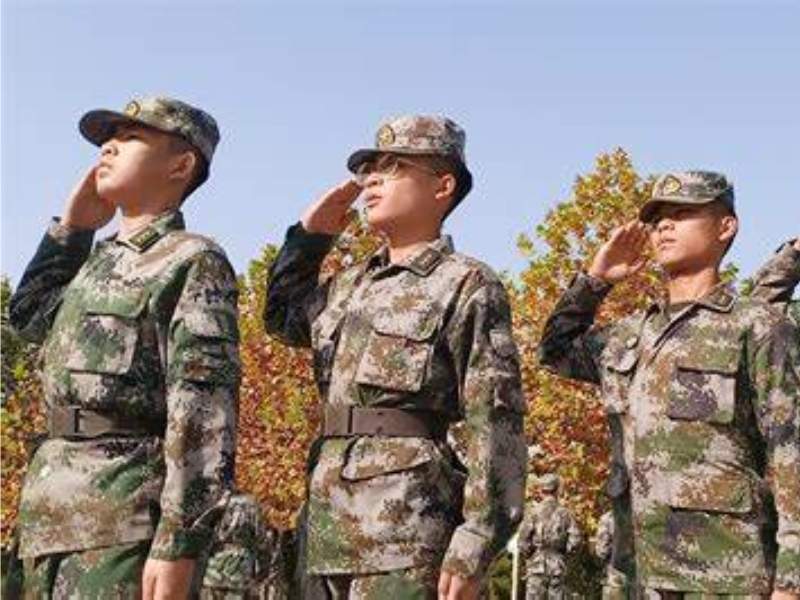 正規戒網癮學校,戒網癮學校