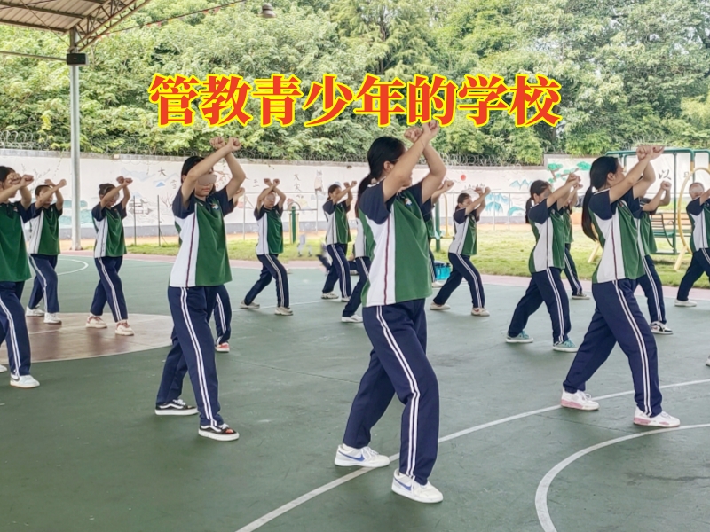 孩子不寫作業(yè),不寫作業(yè) 孩子不寫作業(yè),不寫作業(yè)