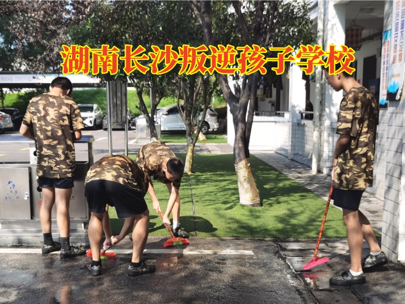 孩子手機(jī)癮,叛逆管教學(xué)校