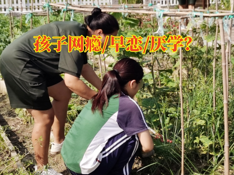 孩子沉迷游戲,小孩沉迷網絡游戲 孩子沉迷游戲,小孩沉迷網絡游戲