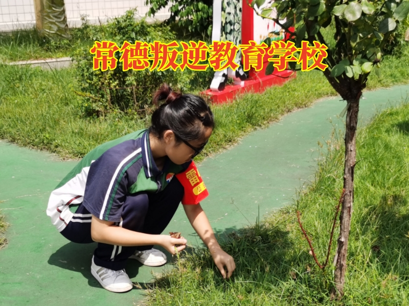 孩子混社會,叛逆管教學校 孩子混社會,叛逆管教學校