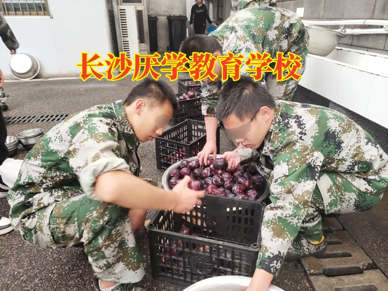 孩子成績下降,青少年厭學學校 孩子成績下降,青少年厭學學校