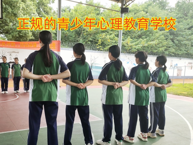 孩子膽小,心理輔導(dǎo)學(xué)校