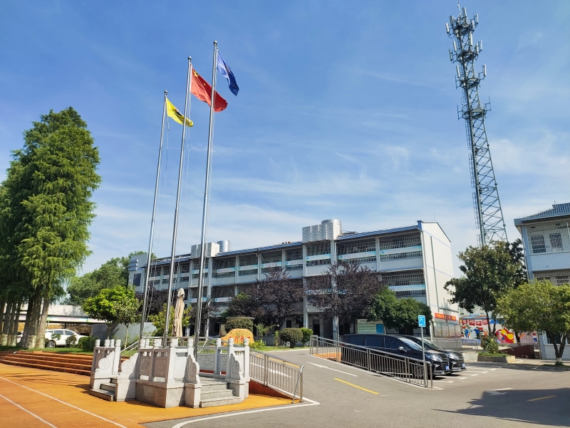 戒網癮學校,正規戒網癮學校 戒網癮學校,正規戒網癮學校