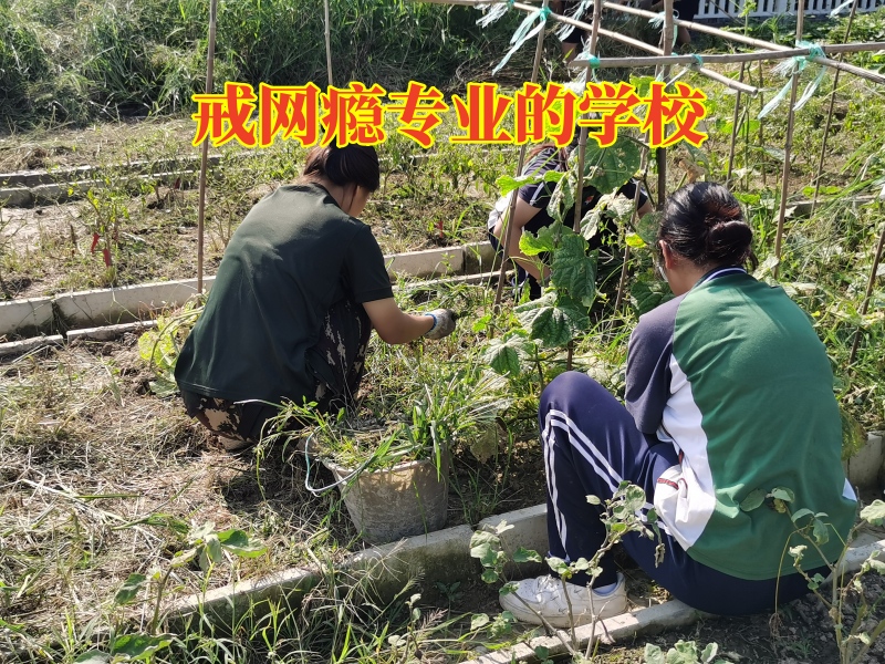 小孩子迷戀網絡,戒網癮學校