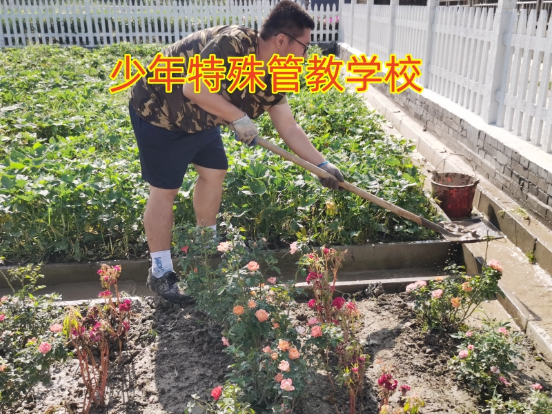 孩子離家出走,叛逆管教學校 孩子離家出走,叛逆管教學校