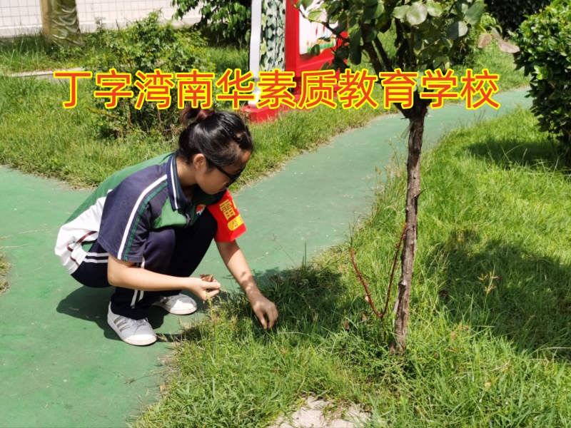 孩子啃老,素質(zhì)教育學(xué)校 孩子啃老,素質(zhì)教育學(xué)校