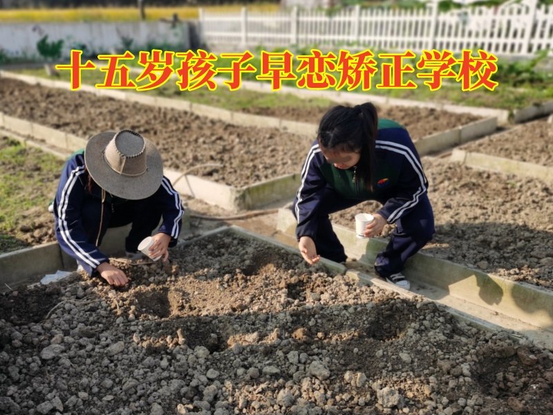 孩子早戀,早戀教育學校 孩子早戀,早戀教育學校