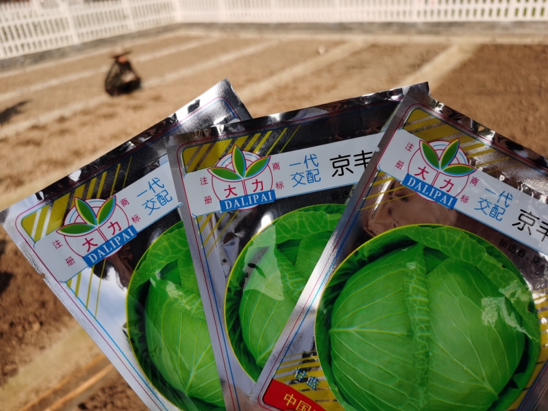 新起點青少年特訓學校,青少年特訓學校 新起點青少年特訓學校,青少年特訓學校