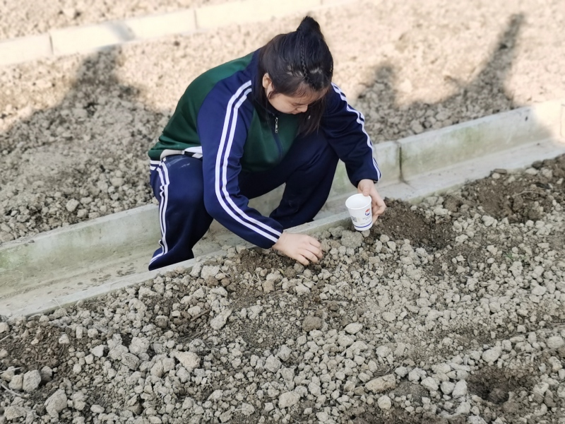 新起點青少年特訓學校,青少年特訓學校 新起點青少年特訓學校,青少年特訓學校