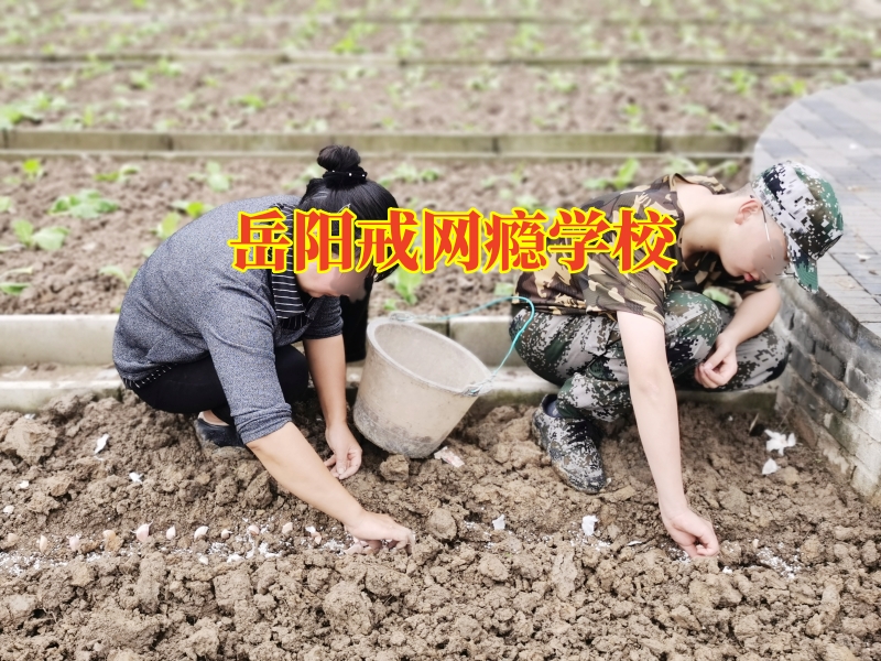 岳陽戒網癮學校，孩子黑白顛倒三步法幫助孩子進行糾正