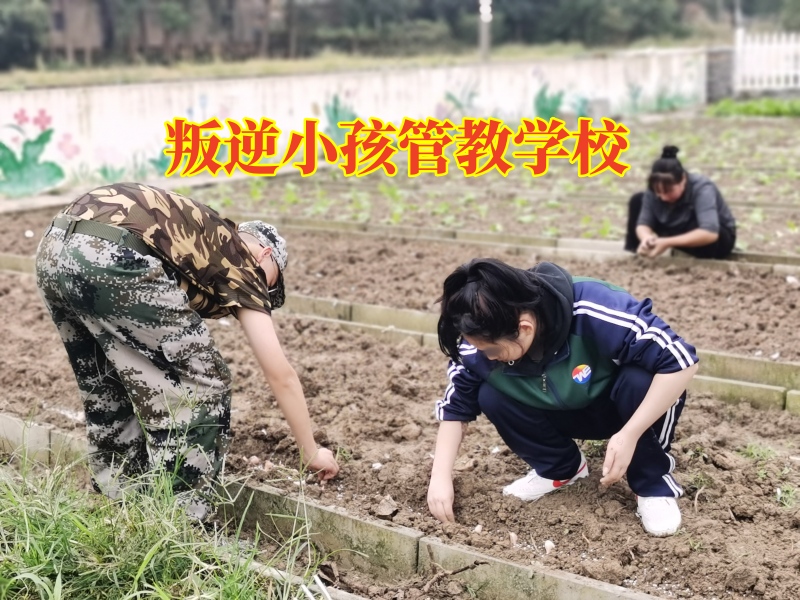 叛逆小孩管教學校,孩子愛頂撞,孩子叛逆期教育學校 叛逆小孩管教學校,孩子愛頂撞,孩子叛逆期教育學校