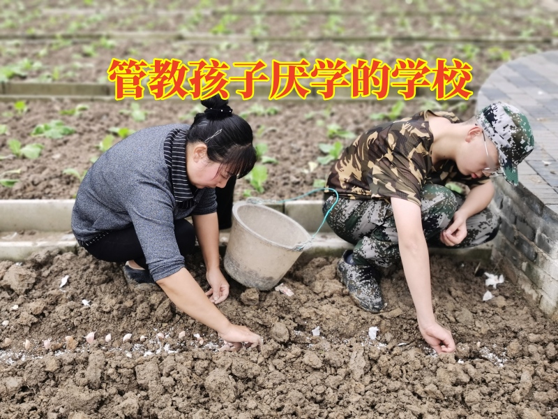 管教孩子厭學(xué)的學(xué)校，管教孩子厭學(xué)的學(xué)校矯正孩子成績下降問題