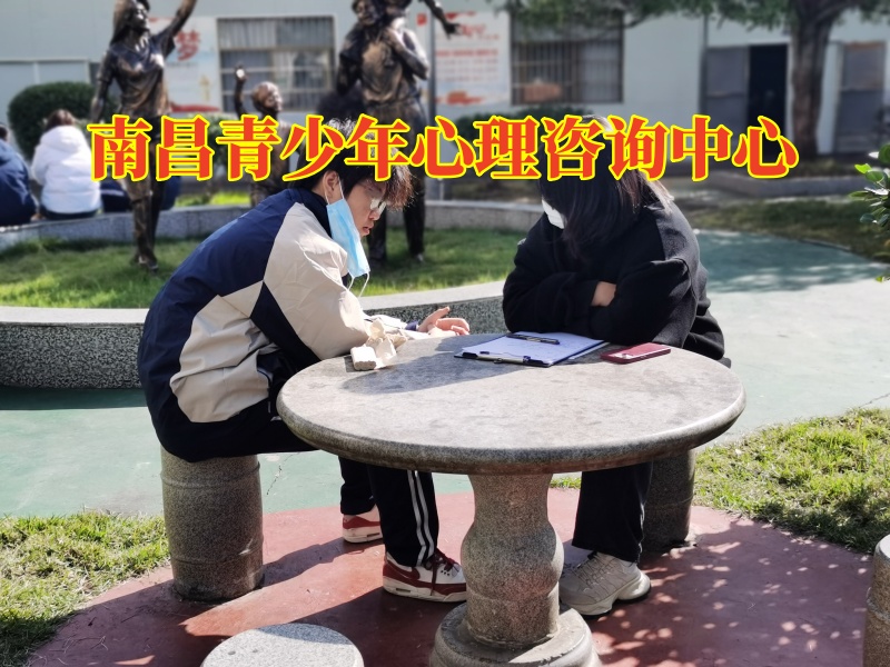 南昌青少年心理咨詢中心分析內向孩子的性格優勢 南昌青少年心理咨詢中心分析內向孩子的性格優勢