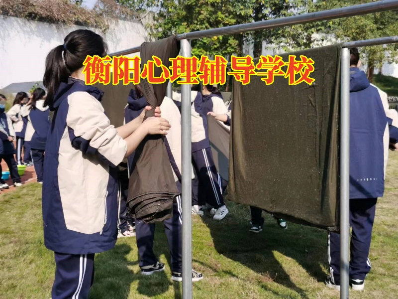 衡陽心理輔導學校,衡陽心理輔導學校對孩子情緒低落的原因分析 衡陽心理輔導學校,衡陽心理輔導學校對孩子情緒低落的原因分析