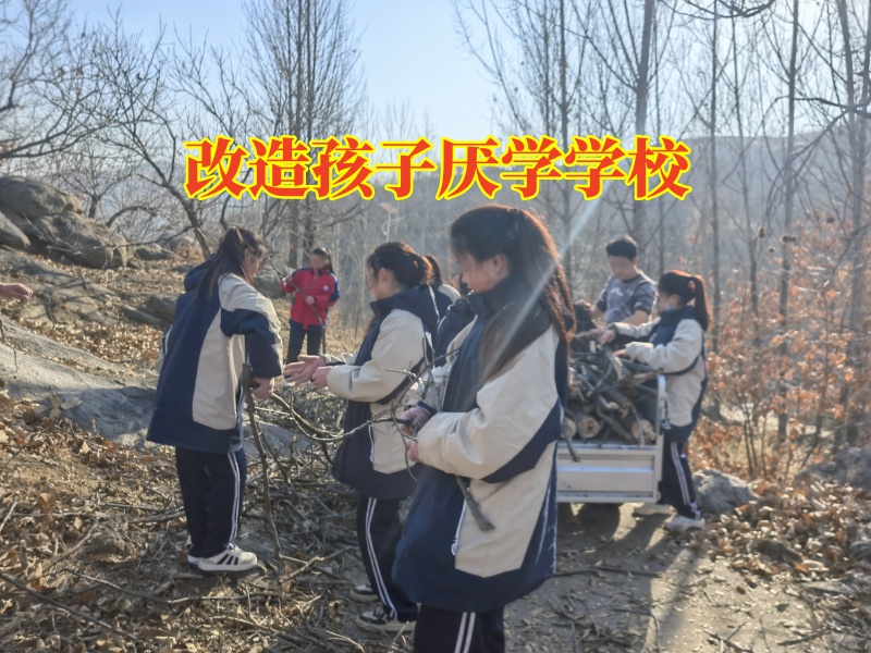 改造孩子厭學學校,改造孩子厭學學校針對孩子成績下降的原因分析 改造孩子厭學學校,改造孩子厭學學校針對孩子成績下降的原因分析