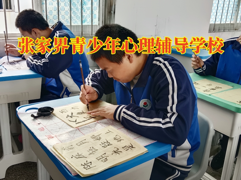 張家界青少年心理輔導(dǎo)學(xué)校建議這樣開(kāi)導(dǎo)情緒低落的孩子 張家界青少年心理輔導(dǎo)學(xué)校建議這樣開(kāi)導(dǎo)情緒低落的孩子