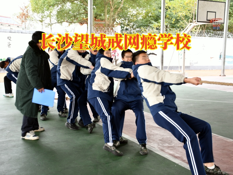 長沙望城戒網癮學校分析孩子看網絡小說的危害 長沙望城戒網癮學校分析孩子看網絡小說的危害