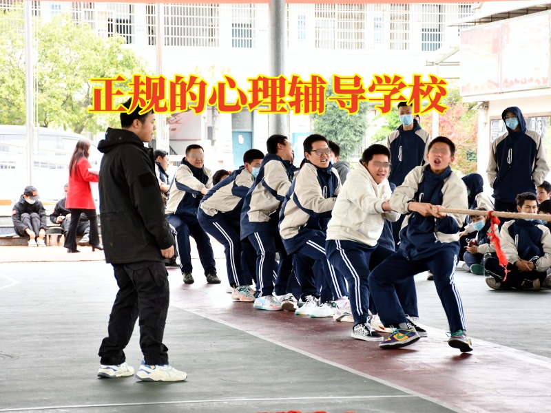 正規的心理輔導學校三招教家長培養出有主見的孩子 正規的心理輔導學校三招教家長培養出有主見的孩子