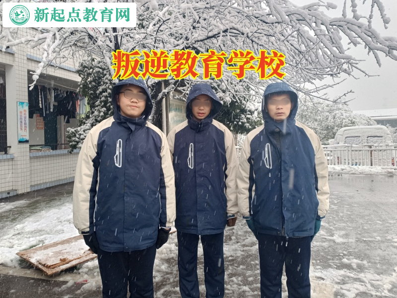 叛逆教育學校這樣矯正孩子愛看小說問題 叛逆教育學校這樣矯正孩子愛看小說問題