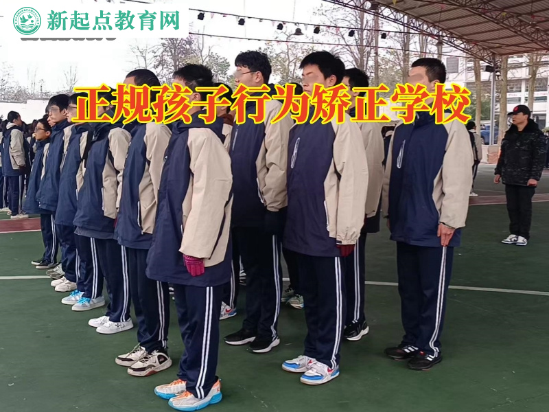 正規孩子行為矯正學校,正規孩子行為矯正學校孩子出現拔毛癖的原因 正規孩子行為矯正學校,正規孩子行為矯正學校孩子出現拔毛癖的原因