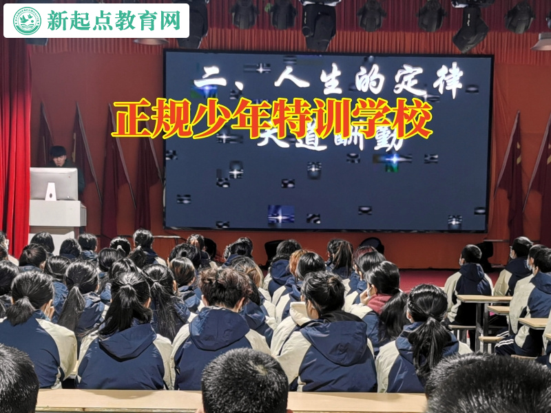 正規少年特訓學校幫助不愛社交的孩子成長 正規少年特訓學校幫助不愛社交的孩子成長