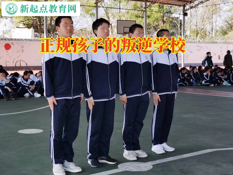 正規孩子的叛逆學校分析孩子脾氣暴躁的原因