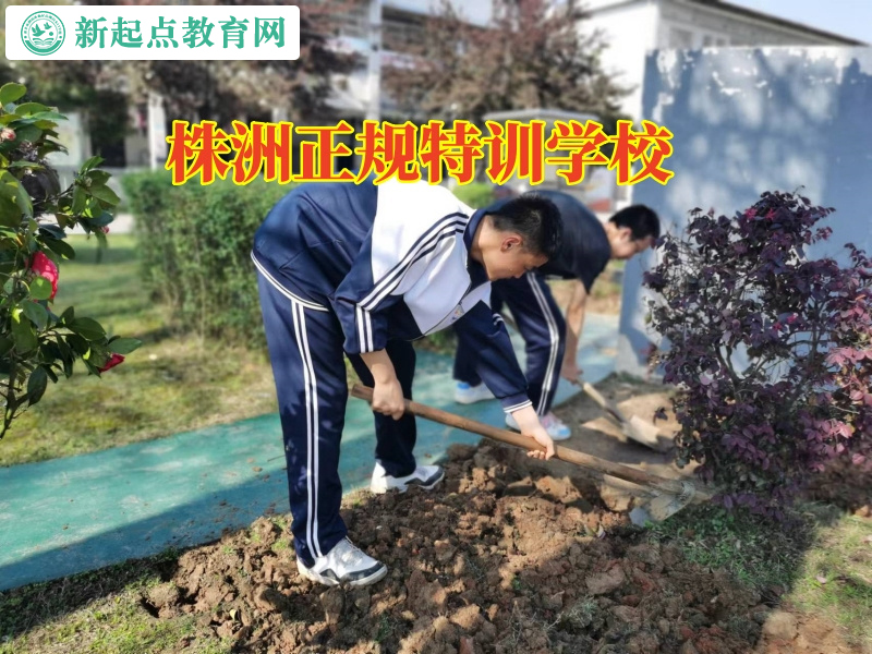 株洲正規(guī)特訓學校分析孩子膽子小的原因 株洲正規(guī)特訓學校分析孩子膽子小的原因