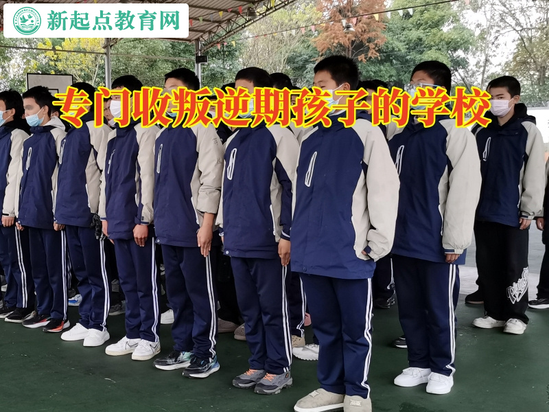 專門收叛逆期孩子的學校針對孩子愛看小說的建議 專門收叛逆期孩子的學校針對孩子愛看小說的建議