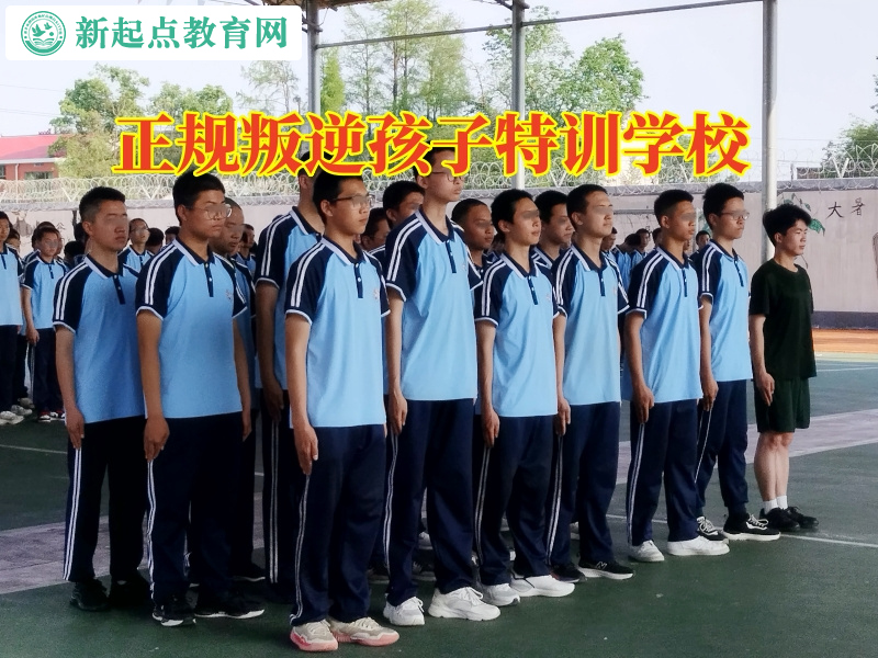 正規(guī)叛逆孩子特訓(xùn)學(xué)校分析孩子對家人冷漠的原因