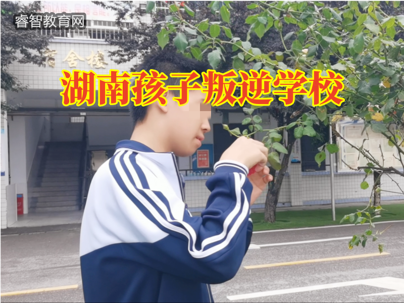 湖南孩子叛逆學校教您教育頂撞的孩子 湖南孩子叛逆學校教您教育頂撞的孩子