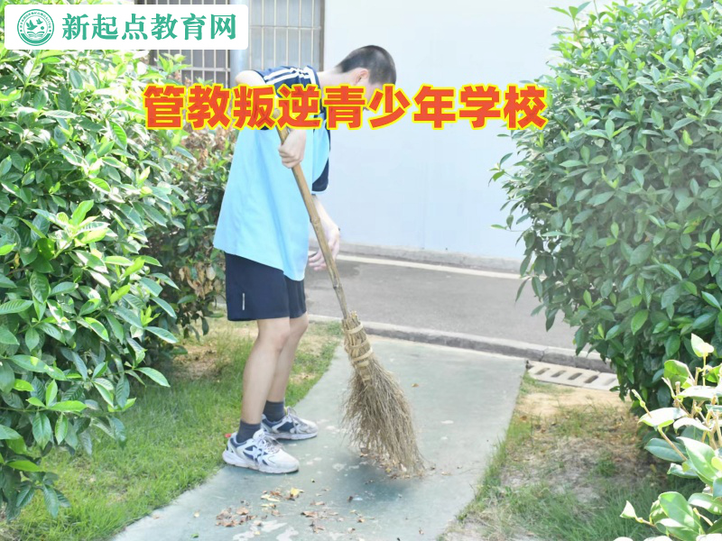 管教叛逆青少年學(xué)校教育不愛寫作業(yè)的孩子 管教叛逆青少年學(xué)校教育不愛寫作業(yè)的孩子