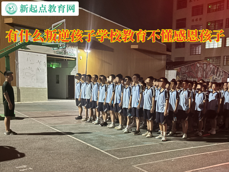 有什么叛逆孩子學校教育不懂感恩孩子 有什么叛逆孩子學校教育不懂感恩孩子