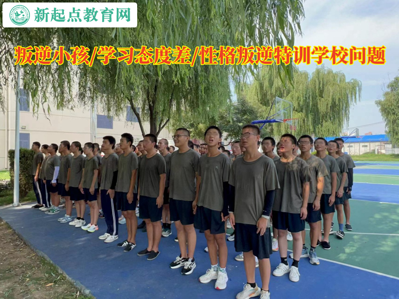 叛逆小孩特訓學校分析孩子學習態度問題 叛逆小孩特訓學校分析孩子學習態度問題