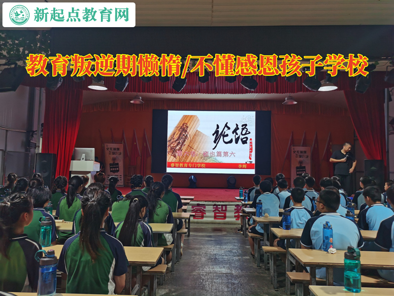 教育叛逆期孩子學校分析懶惰的孩子