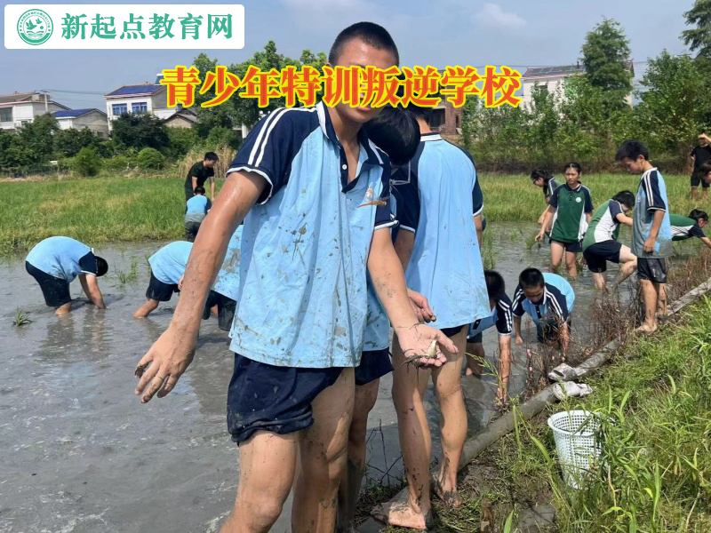 青少年特訓叛逆學校告訴孩子不能亂交朋友