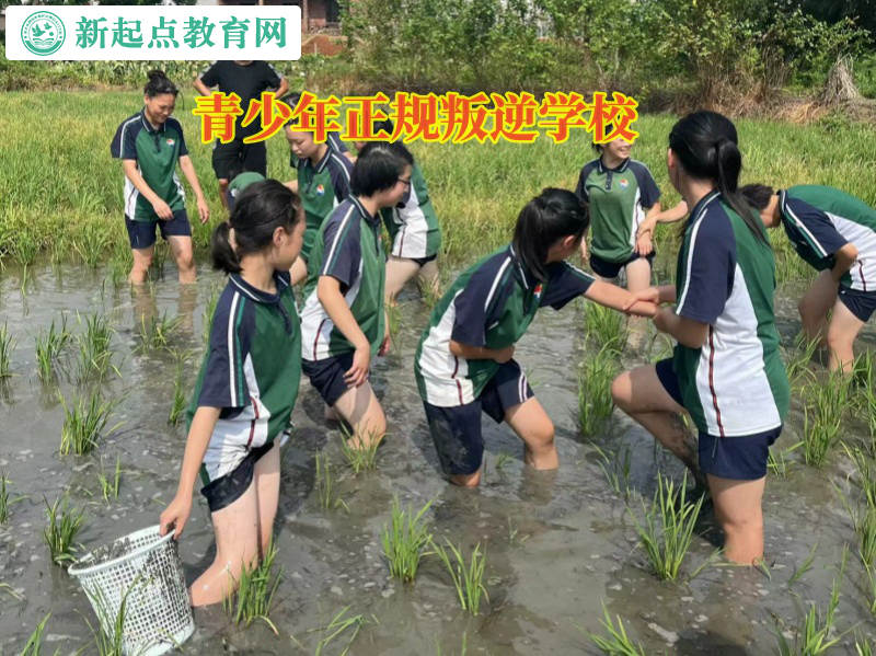 青少年正規叛逆學校矯正孩子厭學行為 青少年正規叛逆學校矯正孩子厭學行為