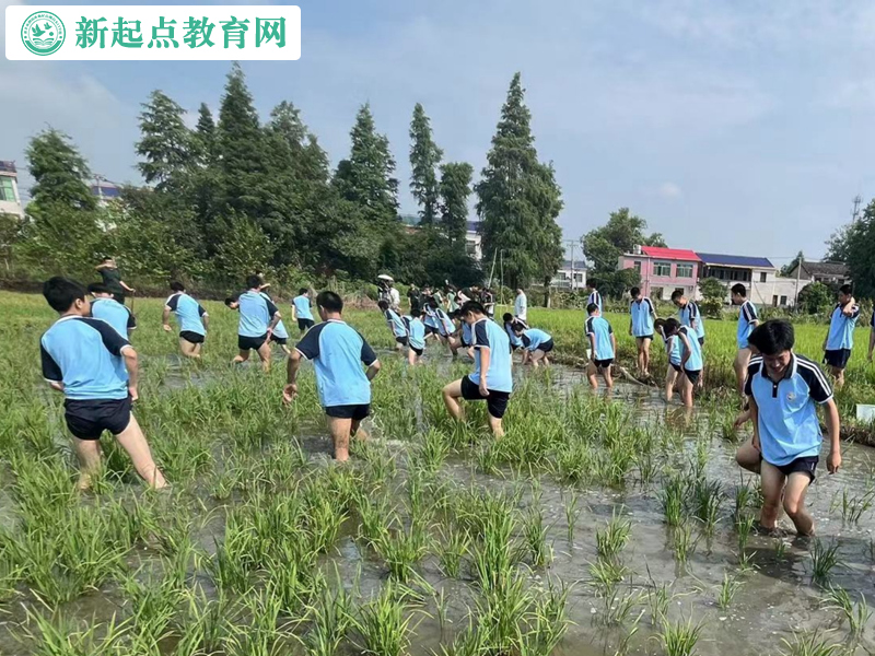 青少年叛逆改變學(xué)校組織抓魚活動(dòng) 青少年叛逆改變學(xué)校組織抓魚活動(dòng)