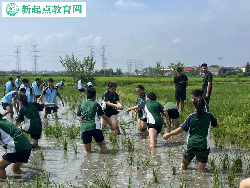 青少年叛逆改變學(xué)校組織抓魚活動(dòng) 青少年叛逆改變學(xué)校組織抓魚活動(dòng)
