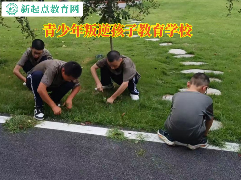 青少年叛逆孩子教育學校教育孩子不要亂花錢 青少年叛逆孩子教育學校教育孩子不要亂花錢